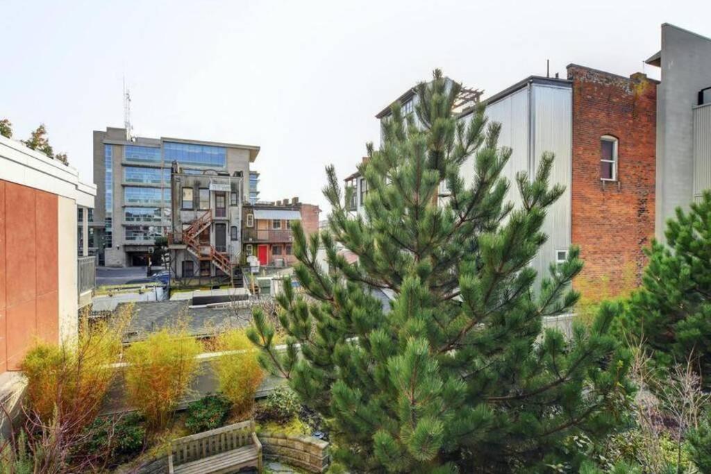 Clean 3Rd Floor Executive 1 Bedroom Apt In Old Town China Town Victoria Extérieur photo